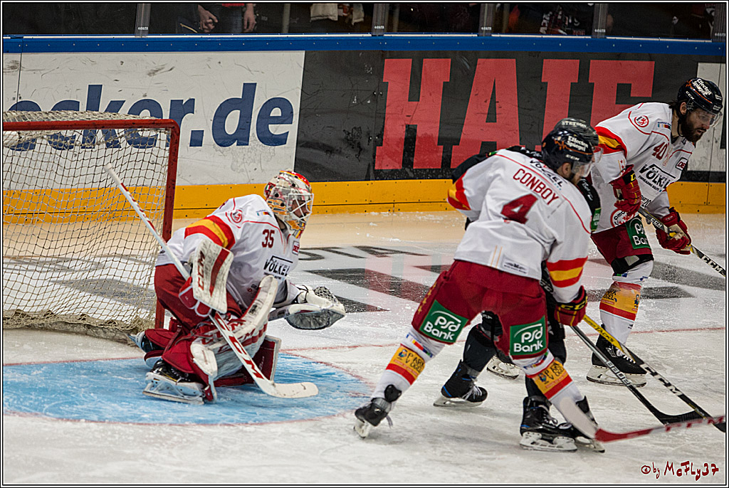 DEL, Koelner Haie - Duesseldorfer EG, 14.02.2017